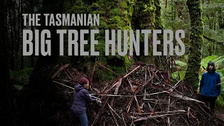 The Tasmanian Big Tree Hunters