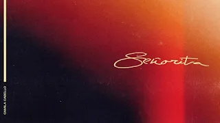 Señorita - Shawn Mendes & Camila Cabello (Clean Version)