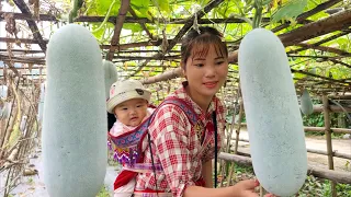 Harvest squash to sell at the market, weave baskets to make nests for chickens to lay eggs.