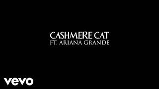Ariana Grande   Quit ft  Cashmere Cat Dangerous Women Tour memories