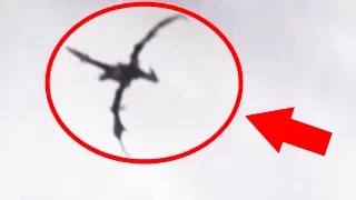 5 Mythical Creatures Caught On Camera | Top 5