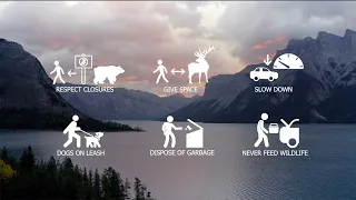 Wildlife & You - #WildlifeRules Banff National Park