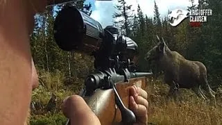 Hunting moose filmed with camera mounted on gun, Awesome killscene.