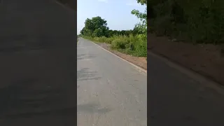 Gojra To KhaaSa Chak Road Mandibahauddin