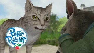 Peter Rabbit - The Cat and the Rat | Cartoons for Kids