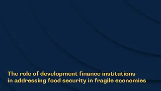 The role of development finance institutions in addressing food security in fragile economies