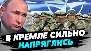 НАТО и военные базы уже критически близко к России! — Мусиенко