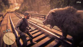 Red Dead Redemption 2 - Grizzly Bear Attack