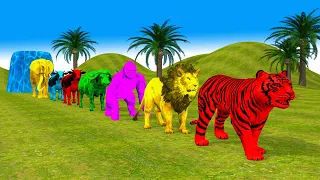 Paint Animals Gorilla cow Tiger Lion Elephant Fountain Crossing Animal cartoon