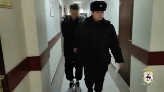 Свыше 4,6 кг «синтетики» изъяли нижегородские полицейские у наркокурьера