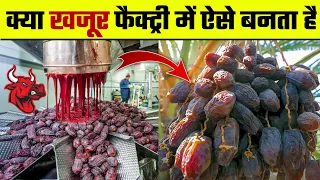 फैक्ट्री में खजूर  कैसे बनातें हैं | See how dates made in the factory