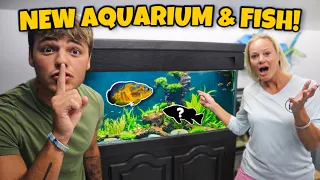 SURPRISING My MOM with *NEW* PREDATORY FISH & AQUARIUM!!