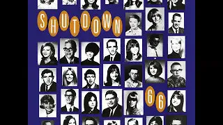 Various ‎– Shutdown '66 : 60's Garage Rock Psychedelic Beat Moody Music USA Bands Compilation ALBUM