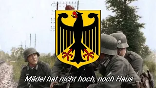 Schwarzbraun ist die haselnuss German March - Rare Version