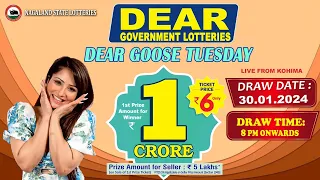 DEAR GOOSE TUESDAY DRAW TIME 8 PM ONWARDS DRAW DATE 30.01.2024 NAGALAND STATE LOTTERIES