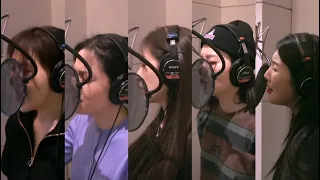 Red Velvet 레드벨벳 Feel My Rhythm 레코딩 버전 (화음, 백보컬 강조) Recording Ver.