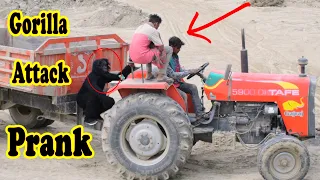 Fake Gorilla Prank | Scary Gorilla Prank on Public (Part-1) | #DiscoverPrank