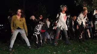 Thriller Flash Mob 2017,  New Milford, CT