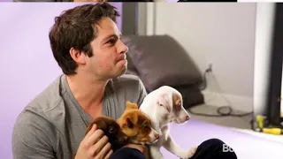 Dylan O’brien Being Adorable For 42 Seconds
