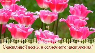 Счастливой весны и солнечного настроения