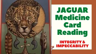 Jaguar Medicine Reading - Integrity & Impeccability