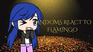 Fandoms react to flamingo ~MidnightStarz~