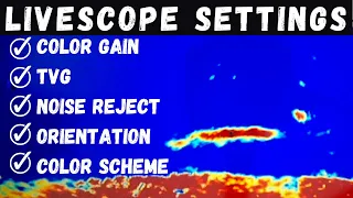 LiveScope Settings UPDATED | Get a CLEAR Picture (Garmin LiveScope Plus LVS34)