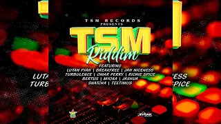 TSM Riddim Mix (Dec 2022) Richie Spice,Lutan Fyah,Bertus,Turbulence,Jashua,Jah Niceness & More...