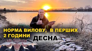 КОСЯК БІЛОЇ РИБИ🔥 ДІДИ ПОКАЗАЛИ СЕКРЕТНЕ МІСЦЕ😳 ДЕСНА, ПЛОТВА, БАТОНИ