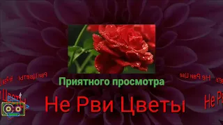 Друзья 🌺Весна наступила.🌺