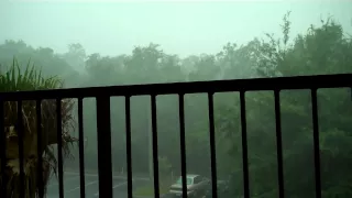 Florida July Thunderstorm