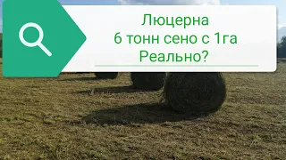 Люцерна итоги покоса///подсчёт урожайности