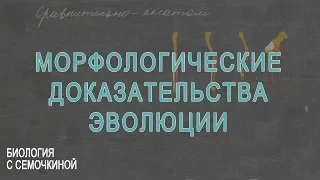 Морфологические доказательства эволюции