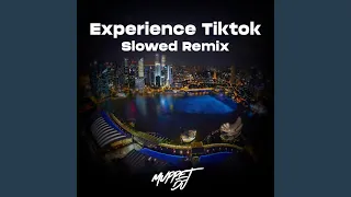 Experience Tiktok - Slowed (Remix)