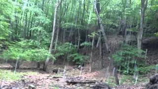 Family Hike to Waterfall