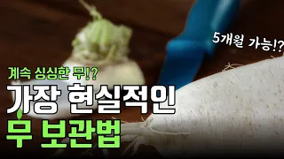 무 보관법 | 이 방법으로 가장 오래 먹을 수 있습니다