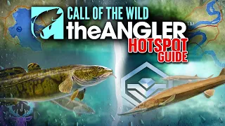 The ULTIMATE DIAMOND Hotspot Guide For STURGEON & BURBOT | Call of the wild the angler.