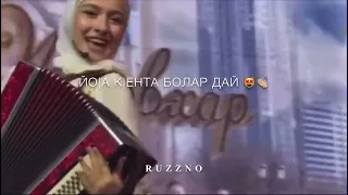 д1алакха пондар - Нур Жовхар 😍😍😍 Песня которая взорвала весь интернет | 2021 New