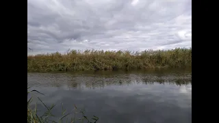 Рыбалка, ловля карася на поплавок в конце сентября