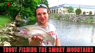 Trout Fishing the Smoky Mountains