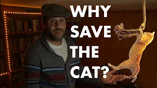 Why Save The Cat? #Screenwriting