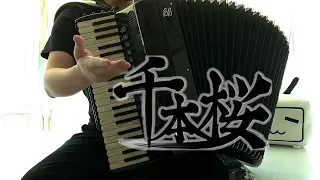 [Accordion]Senbon Zakura 千本桜 - 初音ミク