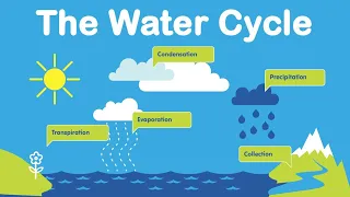 The water cycle | the water cycle process | General knowledge