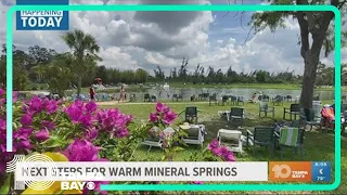 Changes are coming to Warm Mineral Springs