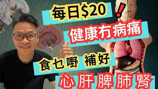 一種神仙草藥，補好心肝脾肺腎！提升免疫力和抗病的能力。提升睡眠質素。# 天然野生靈芝 #失眠