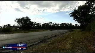 Sheriff: Rancher was protecting his cattle when he shot dogs