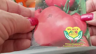 Сортовые помидоры. Новая фитолампа и стеллаж