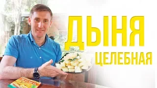 Целебная дыня | Рецепты Ивана Павловича Неумывакина
