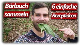 Bärlauch haltbar machen, 6 Rezepte und sicher sammeln