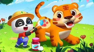 Baby Panda Animal Doctor #2 - Join Kiki to Help Injured Tiger and Give Treatment Him - Babybus Games